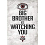 big_brother_google.jpg