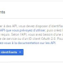 google_04_interface_identifiants_api.jpg