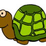 tortue.jpg